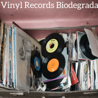 Are Vinyl Records Biodegradable?