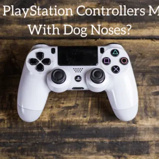 Are PlayStation Controllers Made With Dog Noses?