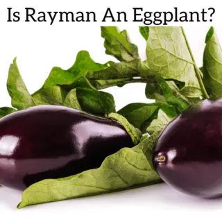 Is Rayman An Eggplant?