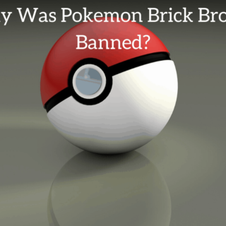 Why Was Pokemon Brick Bronze Banned?