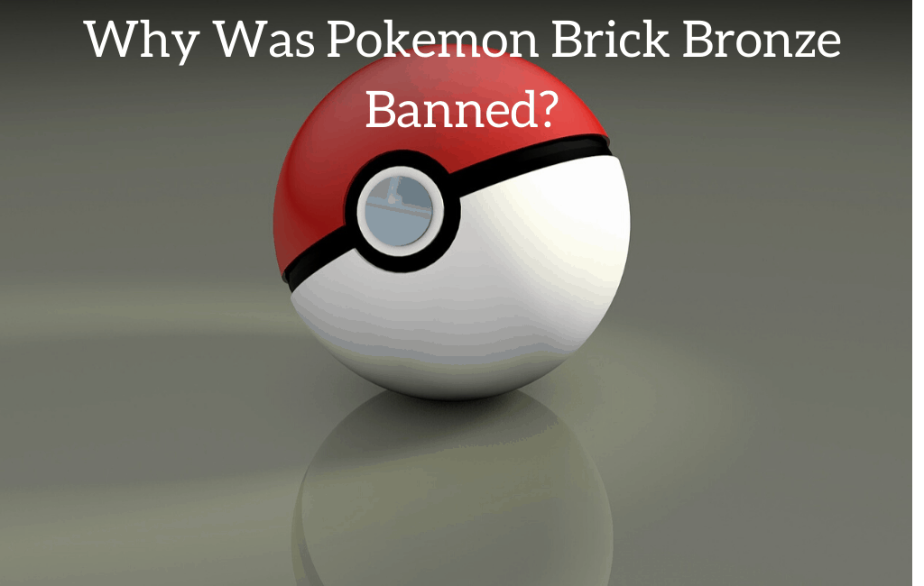 It's been 5 years since Pokemon Brick Bronze was deleted : r/GoCommitDie