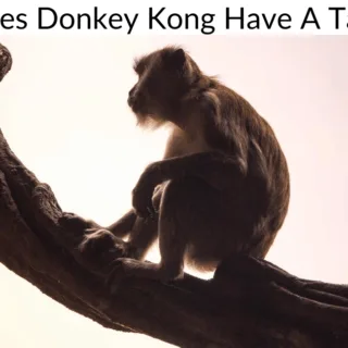 Does Donkey Kong Have A Tail?