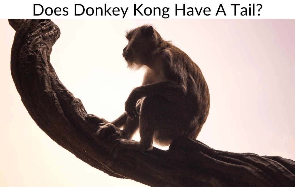 Does Donkey Kong Have A Tail?
