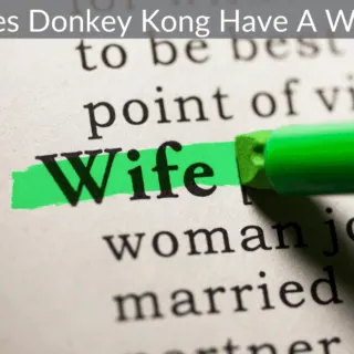 Does Donkey Kong Have A Wife?