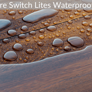 Are Switch Lites Waterproof?