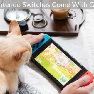 Do Nintendo Switches Come With Games?