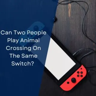 Can Two People Play Animal Crossing On The Same Switch? 