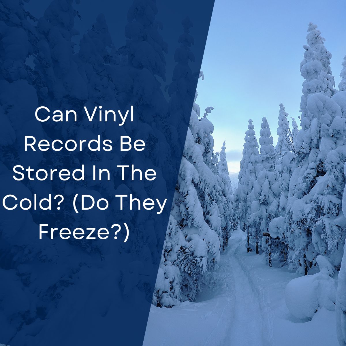 can-vinyl-records-be-stored-in-the-cold-do-they-freeze-july-2024