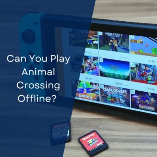 Can You Play Animal Crossing Offline? (Without Internet/Wifi?)